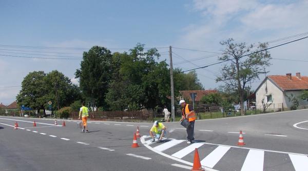 Loial Portofoliu portofoliu 228